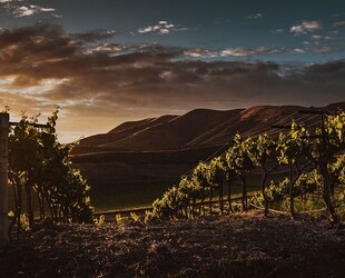 SANTA MARIA VALLEY WINE COUNTRY